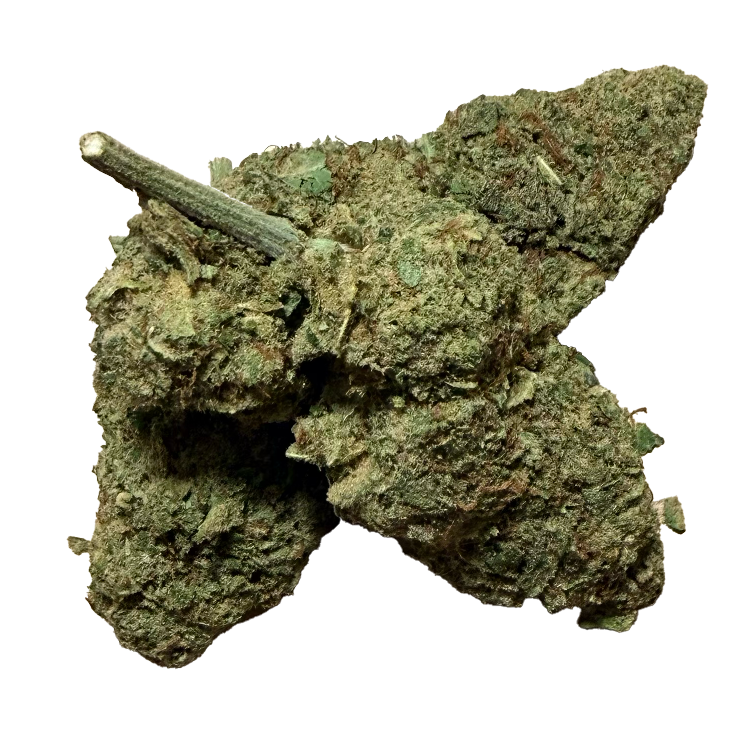 Alien OG