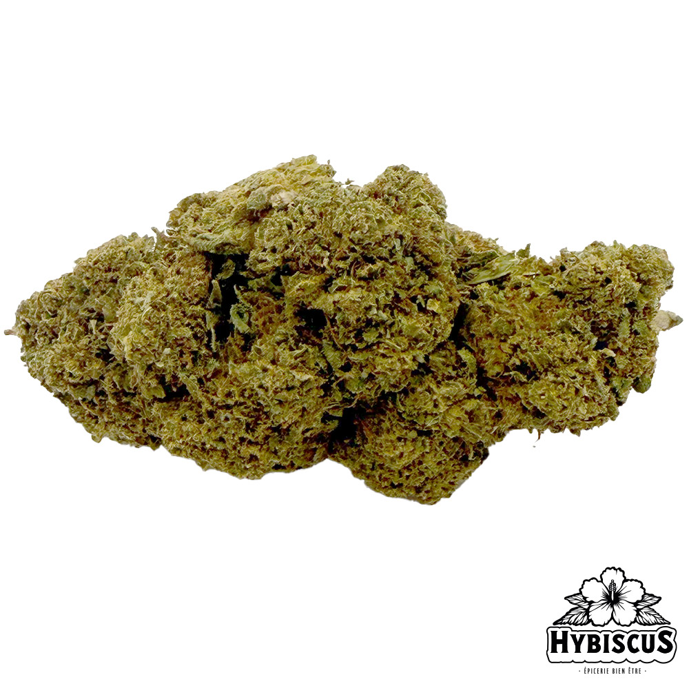 Gorilla Verde