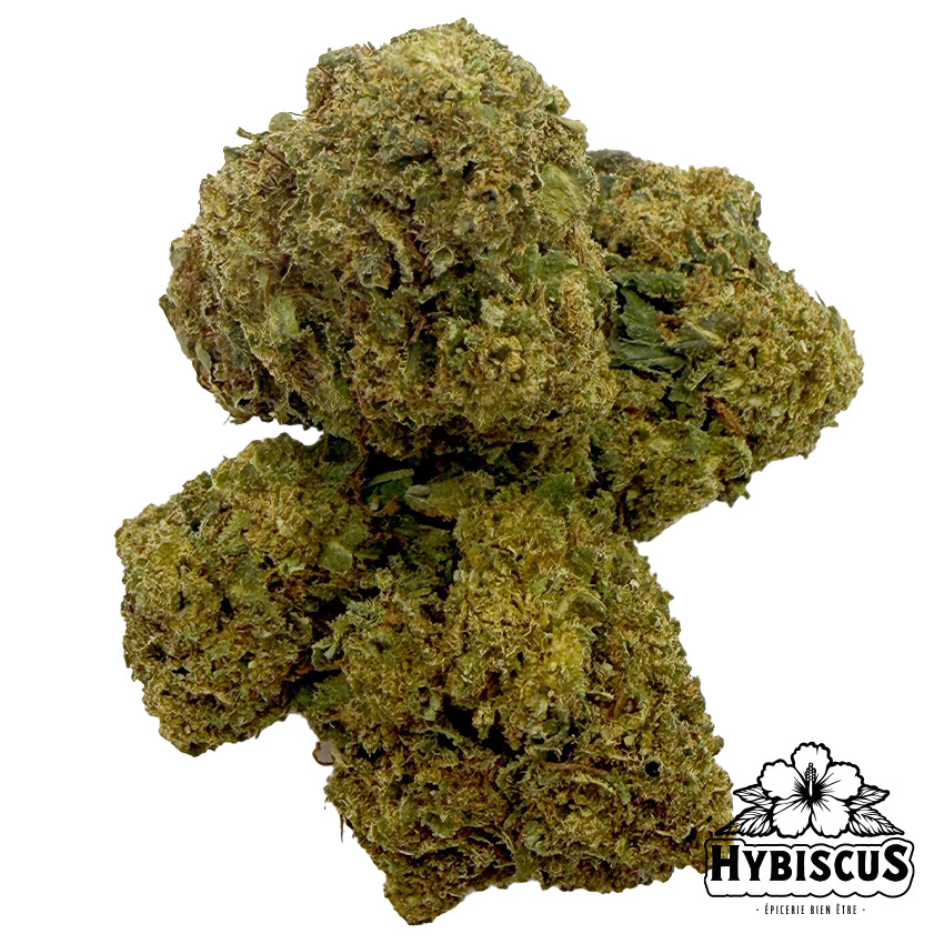 Gorilla Verde