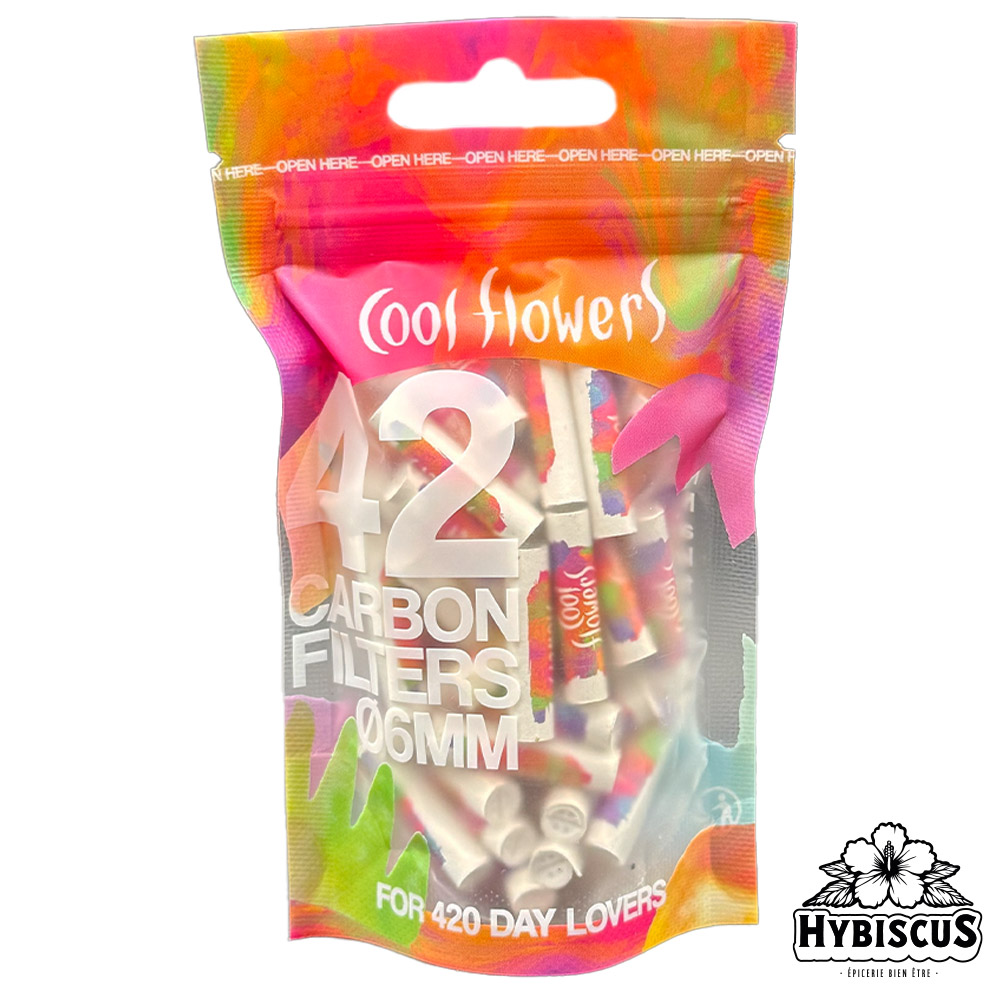 Filtres charbon actif x42