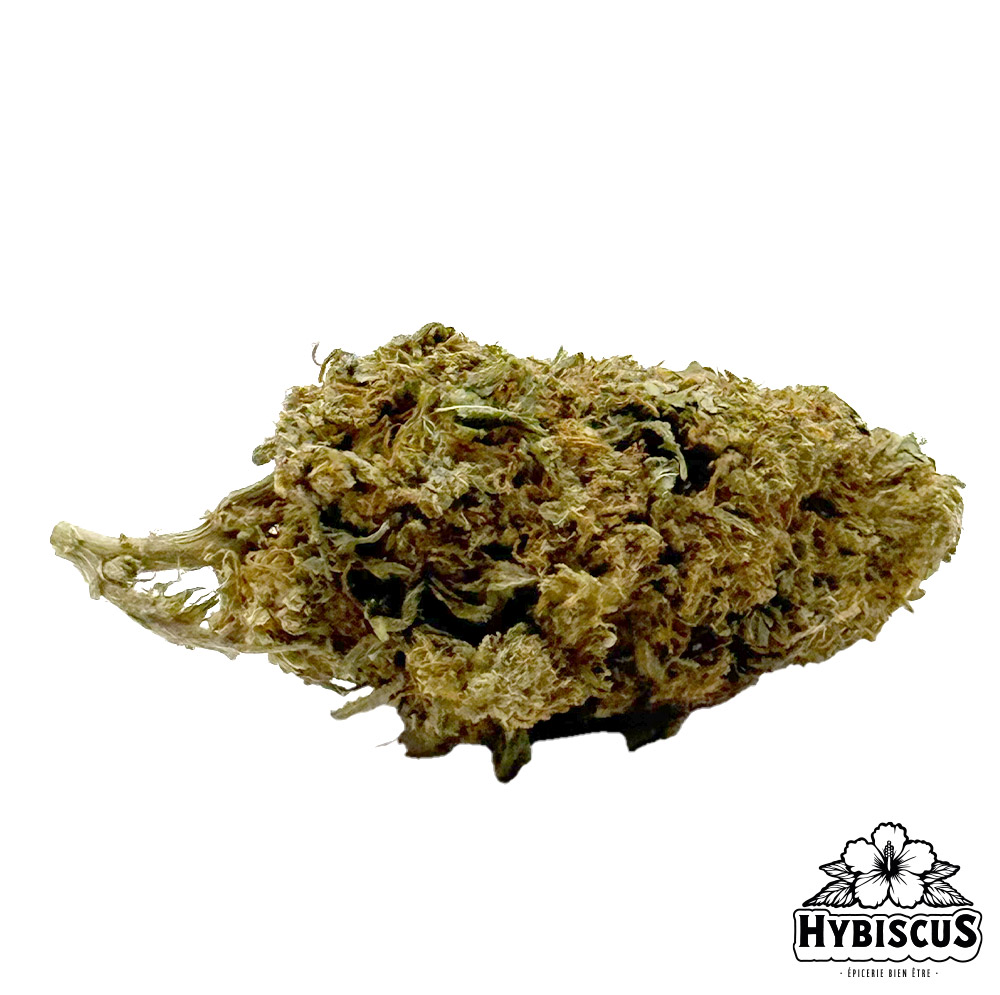 White Shark