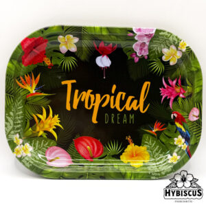Plateau small TROPICAL