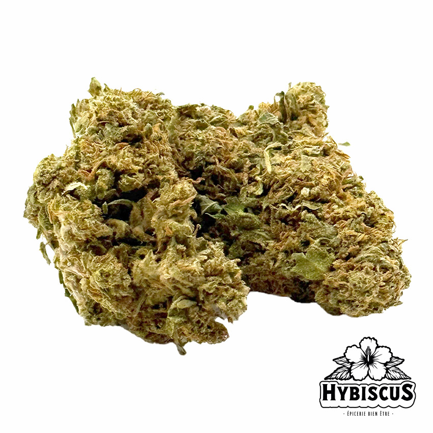 White Shark